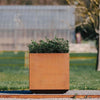 Rustproof Outdoor Garden Plants Raised Bed Steel Metal Vegs Flower Pot Herbs Box