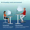 Flamaker 140x70 cm Electric Standing Desk Height Adjustable Computer Desk