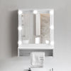 Mirrored Bathroom Cabinet LED White 1/2/3 Doors Mounted Cupboard Wall Mounted