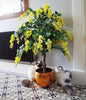 Large Blossom Tree Artificial Wisteria 4ft 120cm Yellow