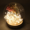 Small/Large Round Glass Ornament Display Dome Cloche Bell Jar with Wooden Base