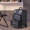 Large Mobile Makeup Beauty Cosmetic Storage Trolley Nail Technician Drawers Case