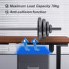Flamaker 140x70 cm Electric Standing Desk Height Adjustable Computer Desk