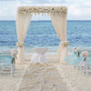 10FTx10FT DIY Wedding Backdrop Stand Flower Display Frame Background Arch Canopy