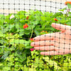 Plastic Anti Bird Netting Pond Garden Plant Bed Fencing Fruit Vegetable Protect