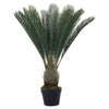 Large Ferns Cycas Tree Potted Green Plant Ficus Houseplant w/ Pot Indoor Outdoor