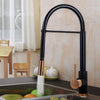Kitchen Faucet Swivel Spout Pull and Down Spray Head Mixer Tap Basin SINK Taps