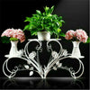 Small Medium Large Multi Tier Tiered Plant Stand Carbonized Shelf Holder Flower