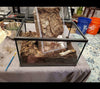 Reptiles Cage Glass Terrarium / Vivarium Tank Fully Assembled Double Door UK