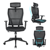 Office Chair High Back Mesh Ergonomic Chairs Lumbar Support Office for Home Work