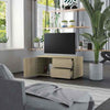 Modern TV Cabinet Stand Storage Cabinet With 2 drawers Living Room Furniture