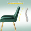 2x Dining Chairs Velvet Upholstered Chairs with Backrest Restaurant Living Room