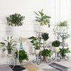 4 Tier Indoor Outdoor Plant Stand Flower Pot Display Shelf Metal Rack Home Decor