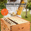 Bee nuc box Nucleus Beehive 10 Frame Bee Keeping Pine Beekeeping Nuc Bee Hive