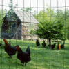 Chicken Rabbit Wire Mesh PVC Coated Aviary Fencing Garden Climbing Plant Trellis
