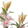 3FT Artificial Pink Lily Decorative Plant with Pot Large Flowers Indoor Outdoor