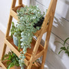 3 Tier Plant Stand Ladder Tray Design Flower Pot Holder Lightweight Bamboo Unit