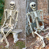 Halloween Poseable Skeleton Full Life Size Human Skeleton Decoration Prop 165 cm