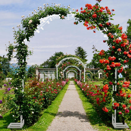 Large Steel Garden Arch Arbor with Scrollwork Leaf Flower Wedding Stand Proposal