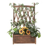 Raised Garden Bed Wooden Elevated Planter Box Hanging Trellis Outdoor Backyard