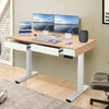 Electric Standing Desk Computer Home Office Desk Adjustable Height Table Stand