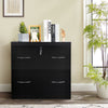 2-Drawer File Cabinet Vertical Freestanding Lockable Storage Cabinet organizer