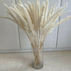 15/50PCS Artificial Dried Pampas Grass Reed Rabbit Tail Grass Flower Bunch Decor