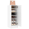 Shoe Cabinet Engineered Wood Shoe Storage Shelf Rack Set Multi Colours