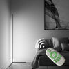 Colour Changing Mood Lighting Metal LED Corner Floor Wall Lamp With Remote