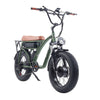 GOGOBEST GF750 Electric eBike Bicycle Dual Motor 20x4.0 Fat Tire 48V 17.5ah BT