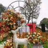 2M Large Wedding Arch Backdrop Stand Flower Display Frame Background Metal Rack