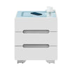 2/3 Drawers LED Bedside Tables Cabinets Wireless Charging Bedroom Furniture
