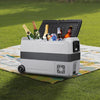 36/50L Car Fridge Portable Camping Picnic Travel Freezer Dual Zone Refrigerator