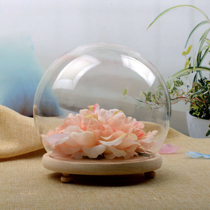 Small/Large Round Glass Ornament Display Dome Cloche Bell Jar with Wooden Base