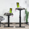 Electric Standing Desk Sit to Stand Workstation Ergonomic Computer Table W/ USB