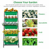 Large Vertical Raised Garden Bed 5 Tier Food Safe Planter Box Greenhouse Balcony