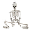 Full Life Size Human Hanging/Sitting Skeleton Prop Halloween Party Decoration