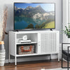 Metal TV Stand Single Door Cupboard Cabinet Console with Storage Shelf Organiser
