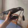 Seletti Bird Table Lamps Resin Crow Desk Lamp Bedroom Wall USB Sconce Light