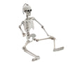 Full Life Size Human Hanging/Sitting Skeleton Prop Halloween Party Decoration