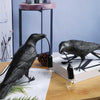 Seletti Bird Table Lamps Resin Crow Desk Lamp Bedroom Wall USB Sconce Light