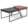 Set of 2 Modern Coffee Table Nesting Table Set Modern Stacking Side End Table