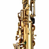 SALE Alto Eb Sax Saxophone Brass Golden Set with Storage Case Mouthpiece Grease