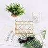 Cosmetics Makeup Storage Brushes Box Pencil Pen Pot Desk Holder Organizer Case