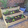 Raised Garden Bed Set Flower Vegetables Seeds Planter Kit Elevated Rectangle Box