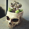 Fancy Realistic Human Skull Greenery Pot Flower Vase Candy Bowl Home Bar Decor