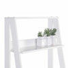 Modern Ladder Shelf, Bookshelf with 5-Tier Storage Shelves