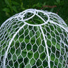 5 Pack Chick Away Wire Garden Seedling Cloche/Plant Cage/White Metal Fence