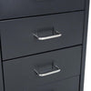 6 Drawer Locking Office Filing Cabinet w/Wheels Rolling Storage Nightstand Table