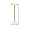 90cm Plant Stand 2/3-Tier Flower Holder Tall Side End Table with Golden Frame